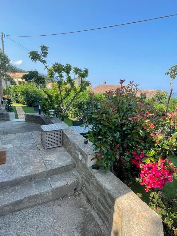 Apartmán Le Cap San-Martino-di-Lota Exteriér fotografie